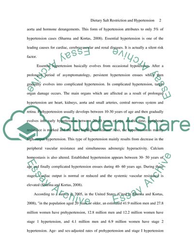 Minor Thesis / Practice Project