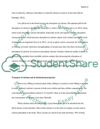 The Role of Calcium in the Body and Its Homeostasis