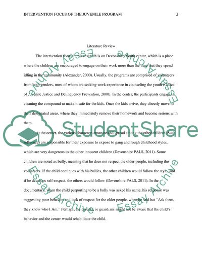 Intervention Focus of the Juvenile Program