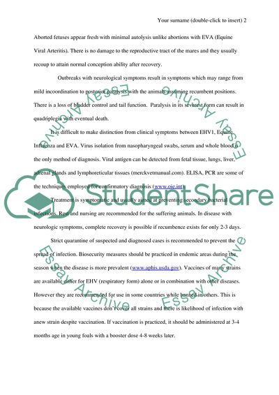 Equine Rhinopneumonitis (EHV-1)