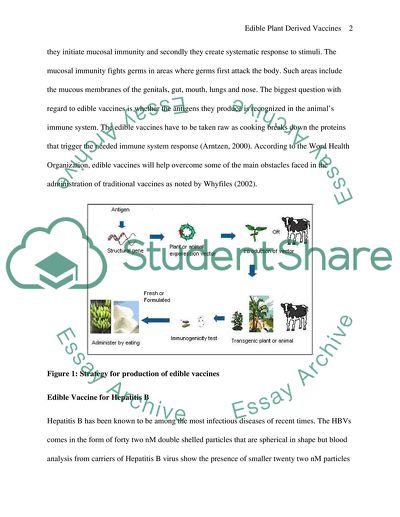Edible-plant Derived Vaccines against Hepatitis B Virus