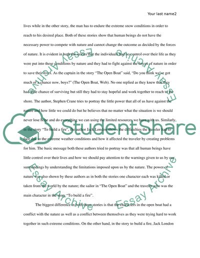 american literature essay pdf