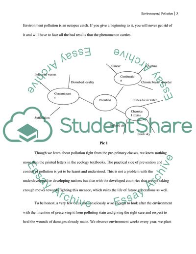 Possible Effects of Environmental Pollution