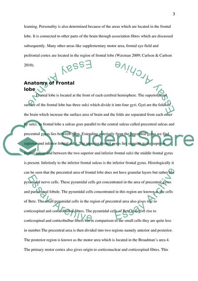 The Fontal Lobes Anatomy and its Connections with Other Parts of the Nervous System