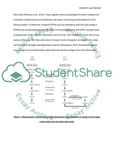 Effects of Omega-3 versus Omega-6 on Metabolism and their Role in the Development of Diseases