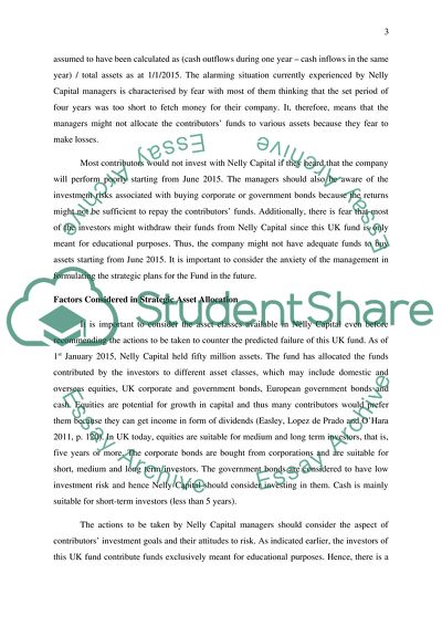 Best Investment and Management Strategies for Nelly Capital