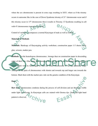 Human Karyotyping (Biology)