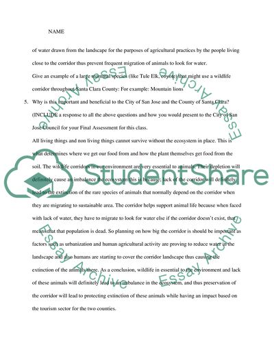 Energy Flow between Animals and the Food