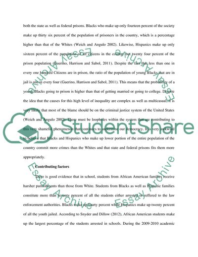 Inequalities in the Us Judicial System