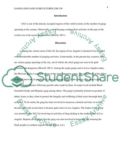 GANGS AND GANG SUBCULTURES CJM 330