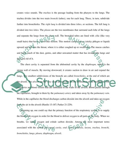 Breathing and Respiration