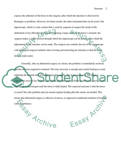 Equine Abdominal Surgery and the Aftercare