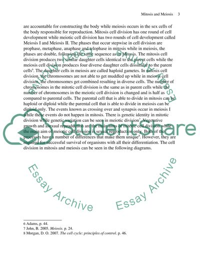Compare And Contrast Meiosis Vs Mitosis Essay Example Topics And Compare And Contrast Meiosis Vs Mitosis Essay Writing Business also Analysis Essay Thesis Do My Statistics Assignment For Me