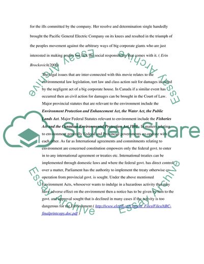 The Legal Issues in Erin Brockovich Movie