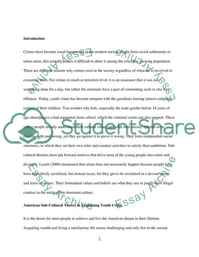 What do subcultural theories have to offer our understanding of youth crime