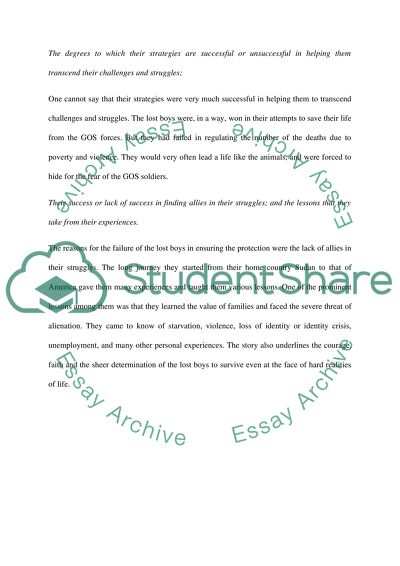 Journey of The Lost Boys by Joan Hecht