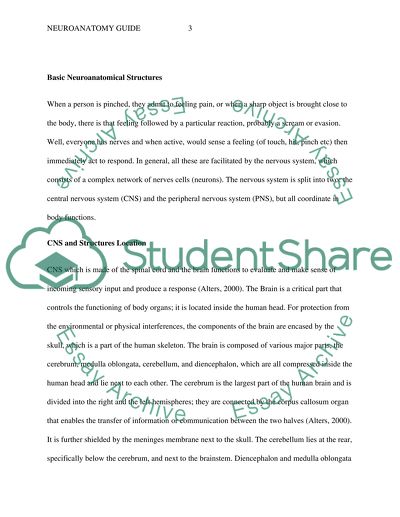 Neuroanatomy Project