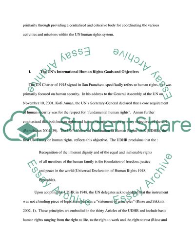 The Role of the UN High Commissioner for Human Rights