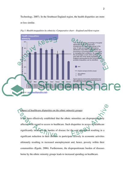 literature review on minority groups