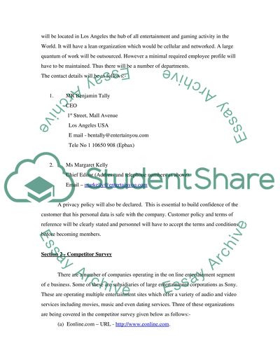 Business Report to managment on online entertainment