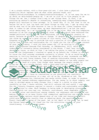 The Corporate Average Fuel Economy