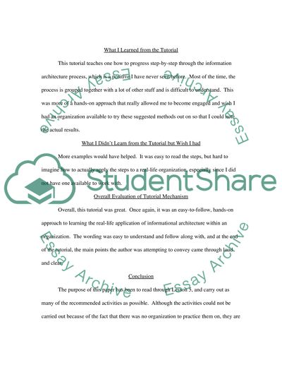 Website development.The recommended activities. Part 5