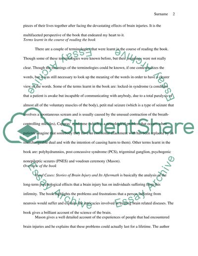 Stories of Brain Injury and Its Aftermath by Michael Paul Mason