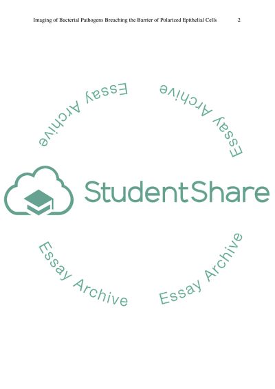 LIVE CELL IMAGING OF BACTERIAL PATHOGENS BREACHING THE BARRIER OF POLARIZED EPITHELIAL CELLS