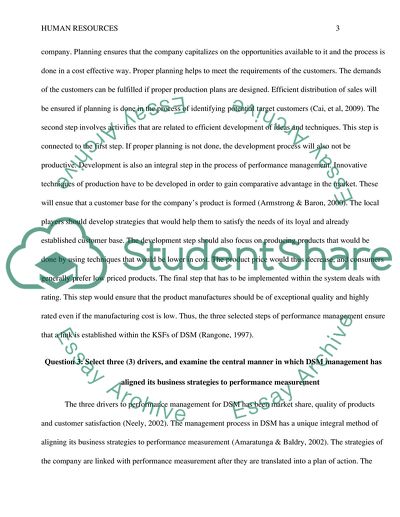 Strategy and Performance Management at DSM