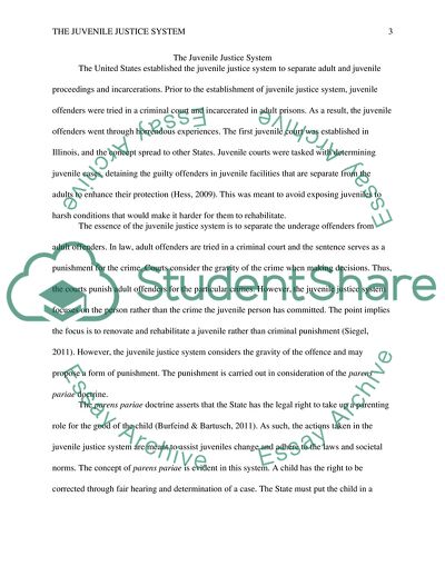 The Juvenile Justice System in the USA