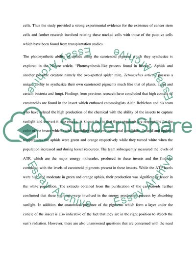 Analysis of Cancer Stem Cells Tracked Article