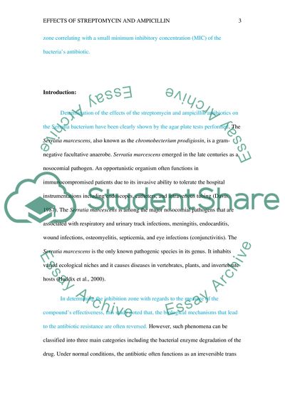 The Effects of Streptomycin and Ampicillin on Serratia Marcescens