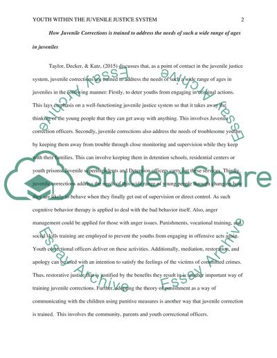 Youth Within the Juvenile Justice System