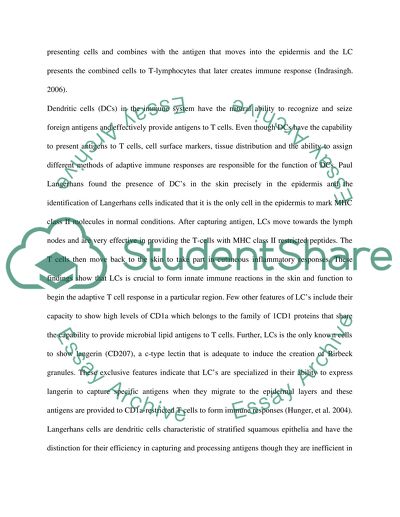 Biological Function of Langerhans Cells