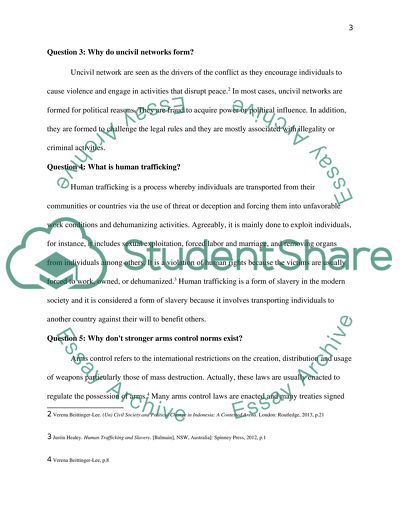 What Is a Network or Non-State Actor