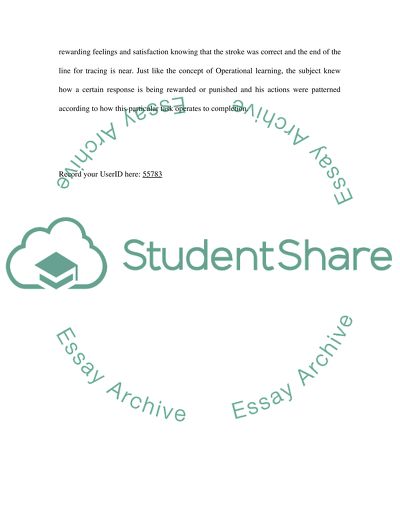 The Mirror Experiment