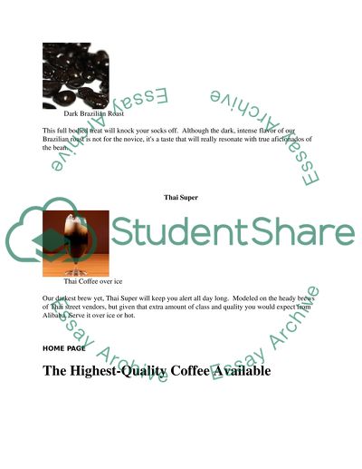 A Website Project Analysis