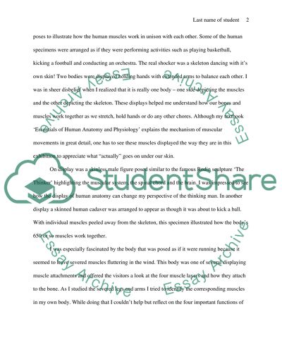 Anatomy and physiology