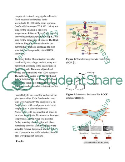 Application of Microscopy in Biomedical Sciences