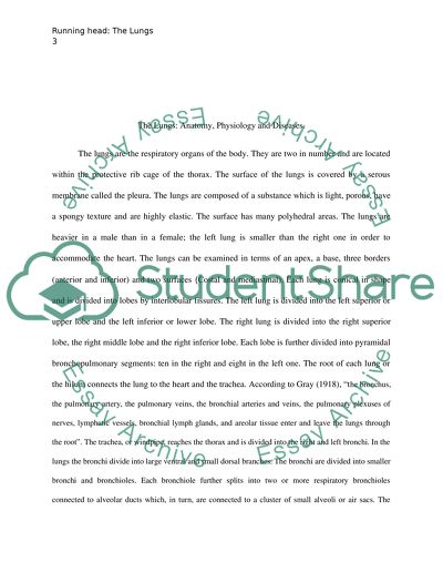 The Lungs Research Paper