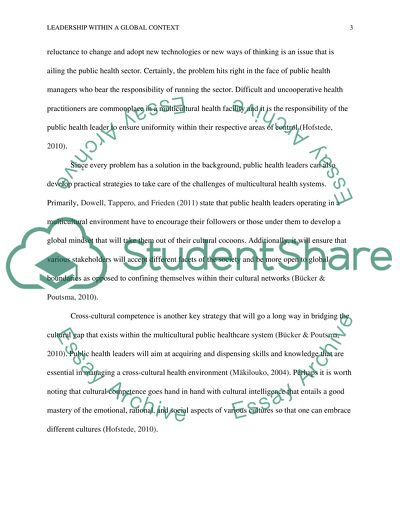 Leadership Within a Global Context