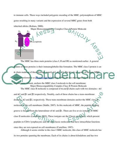 Major Histocompatibility Complex Molecule