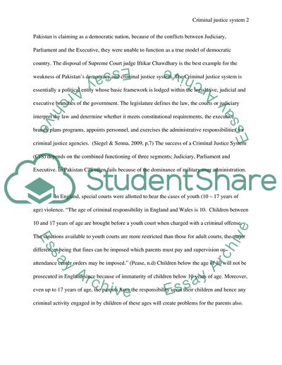 The Criminal Justice System