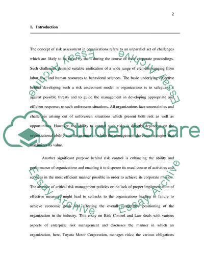 Risk Control and the Law