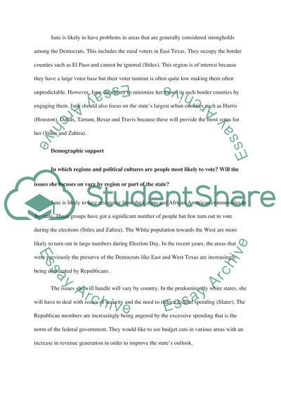 Texas government politics