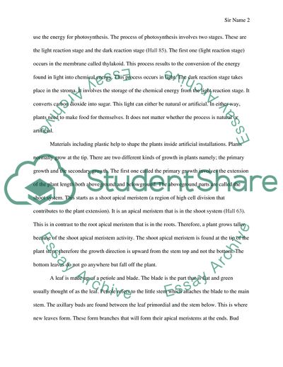 The Photosynthetic Building