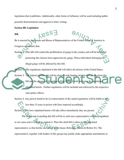 The Anti-Gang Group in the USA