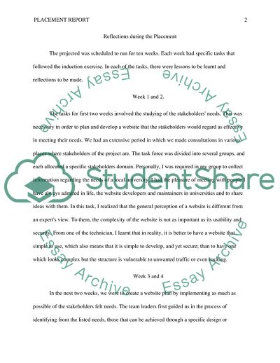 Reflective Analysis of Professional Work Placement Experience in the Field of Information Technology