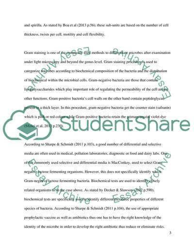 Identification and Categorizing of Microbes
