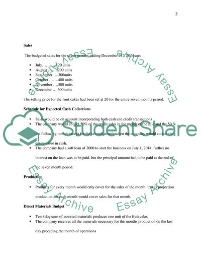 The Budgeting Process of Sloe Gin Cake Company